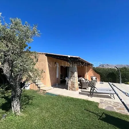 Villa Auriga *